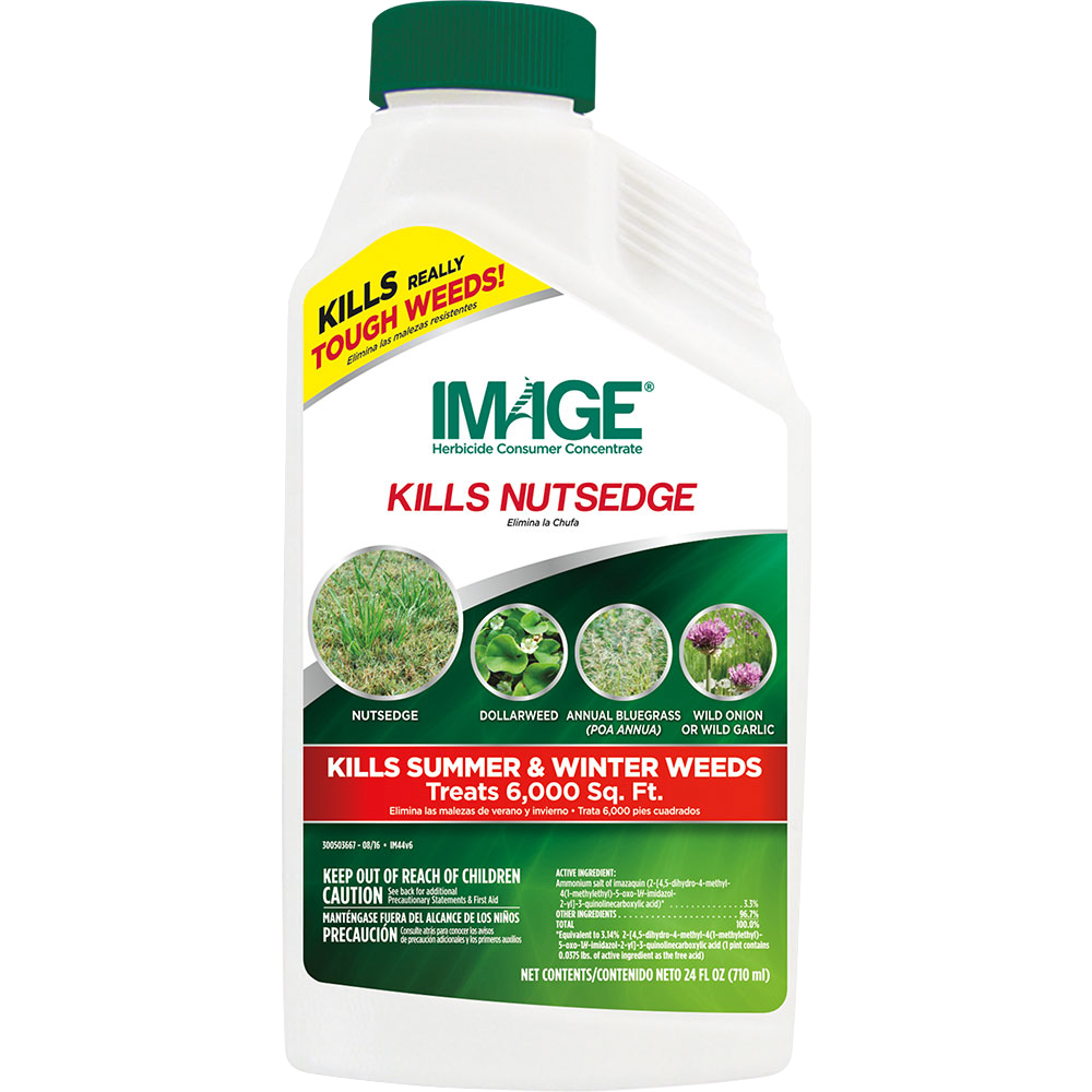 image herbicide home depot IMAGE® KILLS NUTSEDGE CONCENTRATE