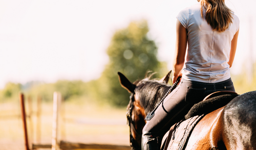 Hot Weather Horse Riding Tips