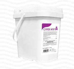 Control Solutions Cyper WSP