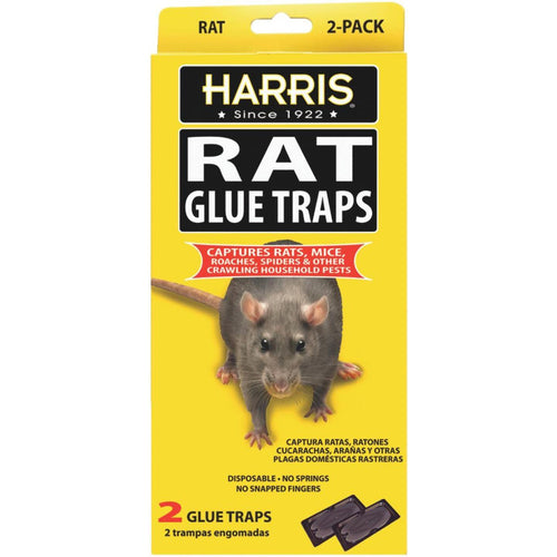 PF Harris Glue Rat & Mouse Glue Trap (2-Pack)